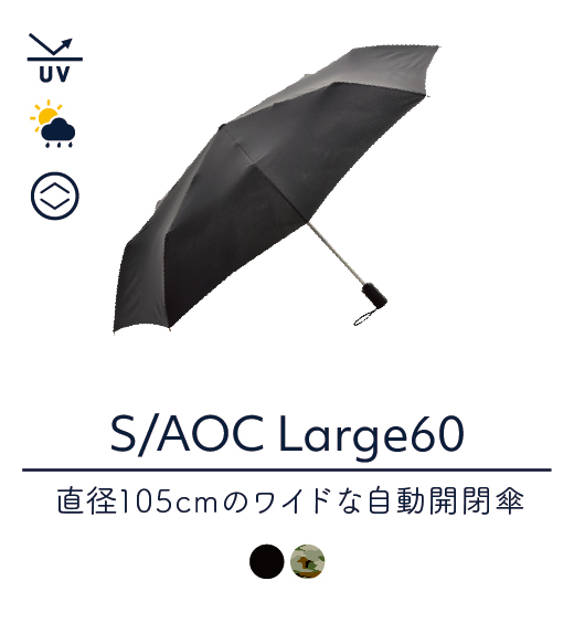 SAOC large60