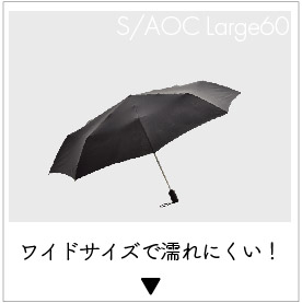 SAOC_Large60