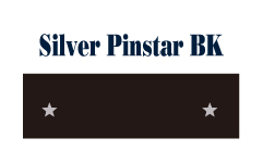 Silver Pinstar BK