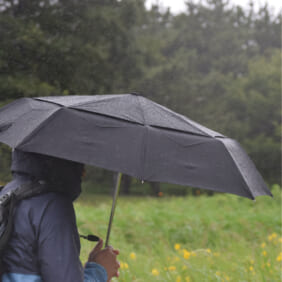 晴れでも雨でも使える！男の日傘3選 - RAIN&SUNNY - ジャーナル 